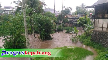 Hujan Deras Sebabkan Air Sungai Meluap, 2 Hektare Sawah di Pulo Geto Terendam Banjir