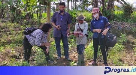 Ditemukan Tahun 2018, Balar Mulai Ekskavasi Situs Kubur di Suro Muncar