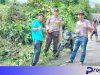 TNI-Polri dan Camat Muara Kemumu Gotong Royong Tebas Rumput yang Ganggu Pengguna Jalan