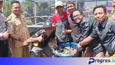 Desa Tertik Berhasil Budidayakan Ikan Patin, Panen Perdana Tembus 300 Kg