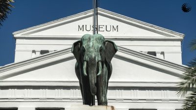Mengenal Museum Nasional Indonesia dan Ragam Koleksinya yang Hari Ini Kebakaran