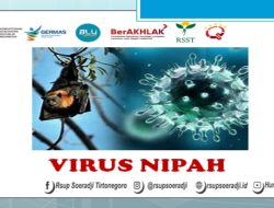 Waspada Virus Nipah, Kemenkes Keluarkan Surat Edaran