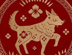 Ramalan Shio Anjing untuk Bulan November 2023