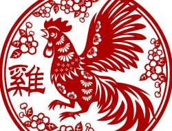 Ramalan Shio Ayam untuk Bulan November 2023