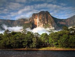 Mengenal Angel Falls: Air Terjun Tertinggi di Dunia