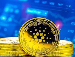Mengenal Cardano Coin, Cryptocurrency yang Diklaim Ramah Lingkungan