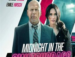 Review Film Midnight in the Switchgrass, Ketika Aktor Legendaris Bruce Willis Berpamitan dengan Akting