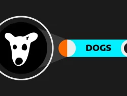 Apa Itu DOGS? Meme Coin yang Gemparkan Telegram, Peluang atau Risiko?