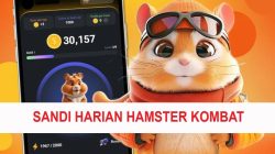 Kode Morse Hamster Kombat Terbaru untuk Jumat, 12 Juli 2024, Cara Cepat Mendapatkan Jutaan Koin Gratis!