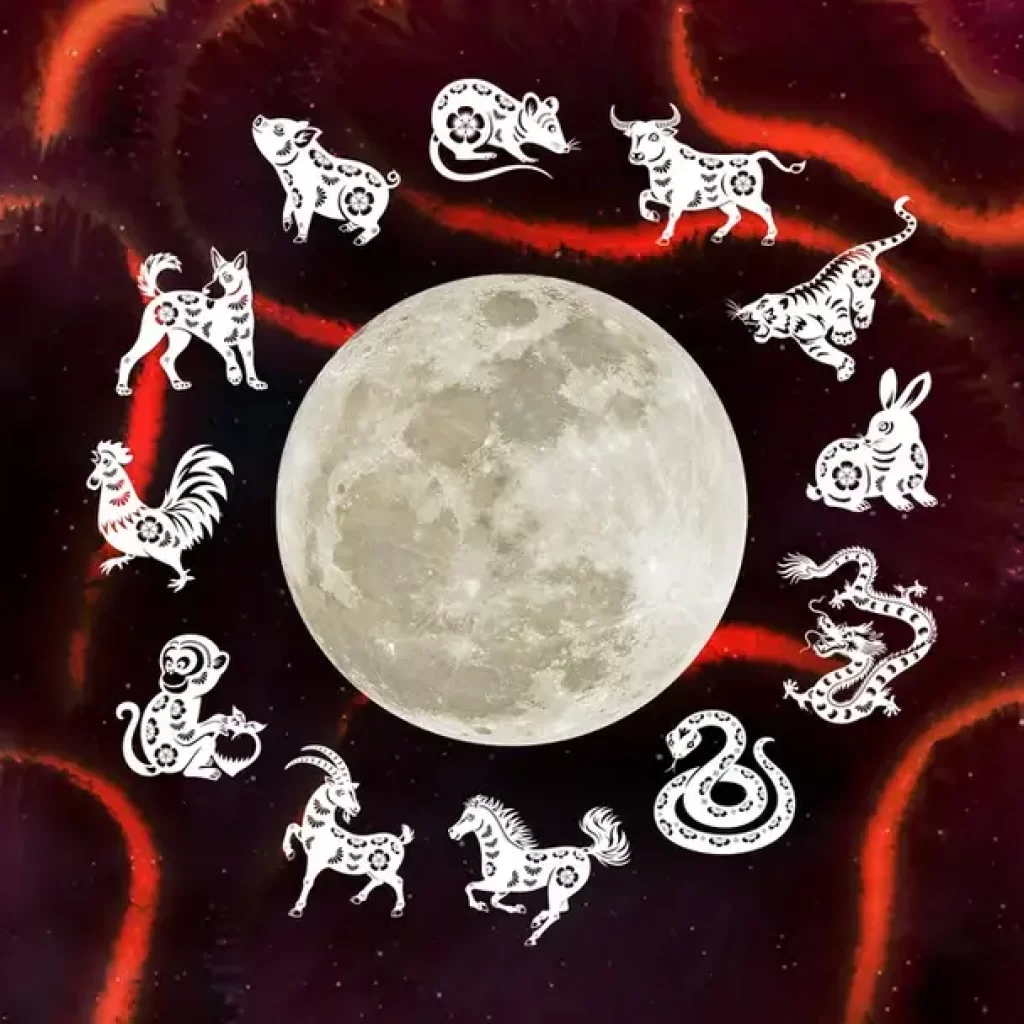 shio chinese zodiac