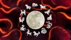 shio chinese zodiac