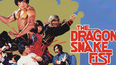 the dragon snake fist
