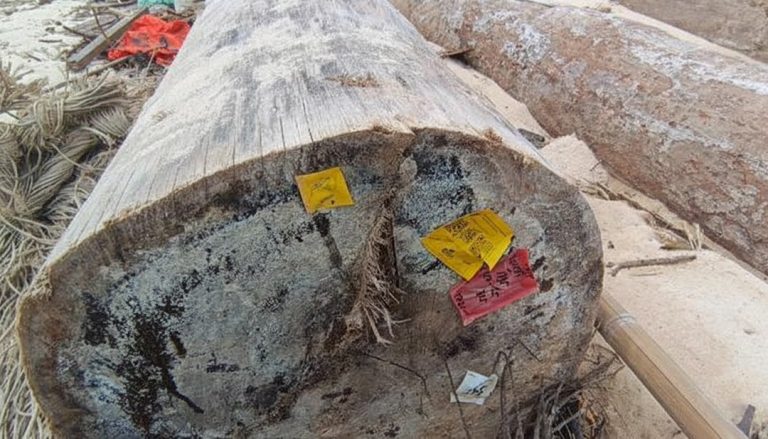 Jejak PT Minas Pagai Lumber: Dari Hutan Mentawai ke Sorotan Publik