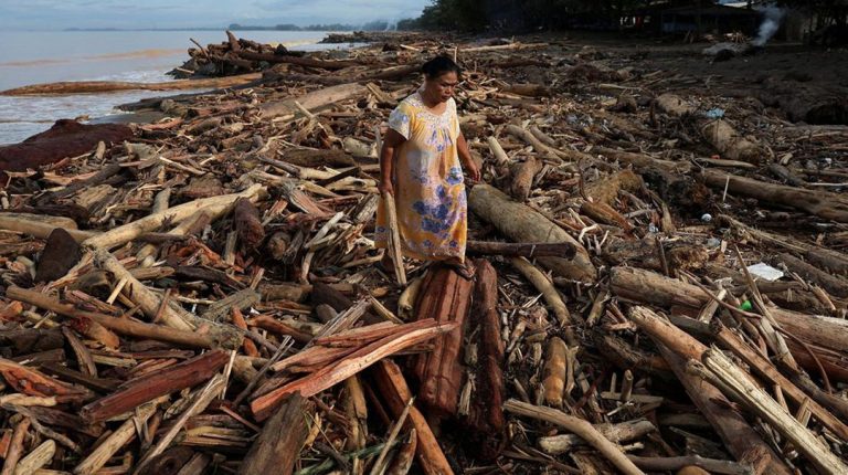 Siapa Pemilik PT Toba Pulp Lestari? Ini Struktur Kepemilikannya dan Respons atas Tuduhan Kerusakan Lingkungan