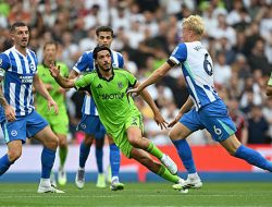 Preview Fulham vs Brighton, Misi Bangkit The Cottagers di Craven Cottage, Seagulls Dihantui Rekor Buruk di London