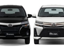 Duel Mobil Keluarga Irit! Cek Harga Bekas Avanza vs Xenia Per Februari 2026, Mana yang Lebih Menguntungkan?