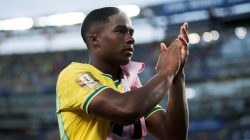 pemain brasil endrick